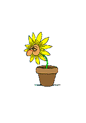Niessende Blume 