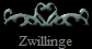 Zwillinge