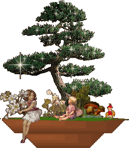 Zauberbaum Zauberbaum